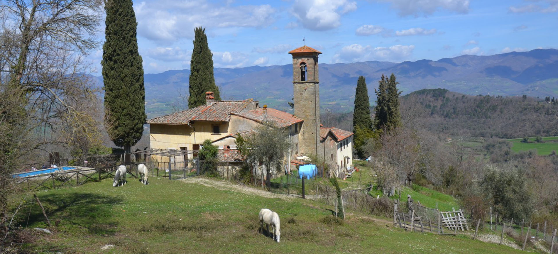 B Guide - Guided Tours and Excursions in Tuscany